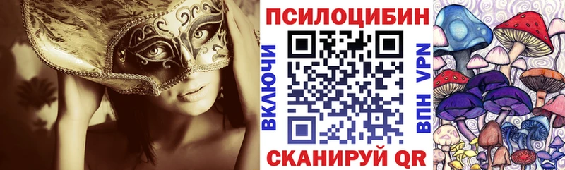 Галлюциногенные грибы Psilocybine cubensis  Купить  Богучар 